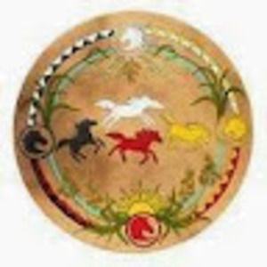 Meet your Posher, Trichia